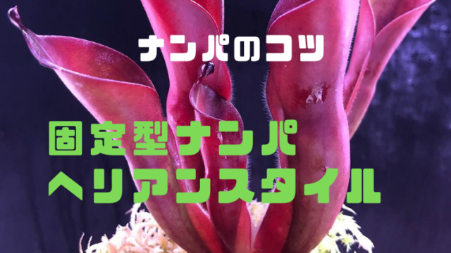ナンパの声かけ方法 Br 固定型のナンパ ヘリアンスタイル 出会いが欲しい代 30代男性がナンパで男を磨き 最高のパートナーをつくるブログ